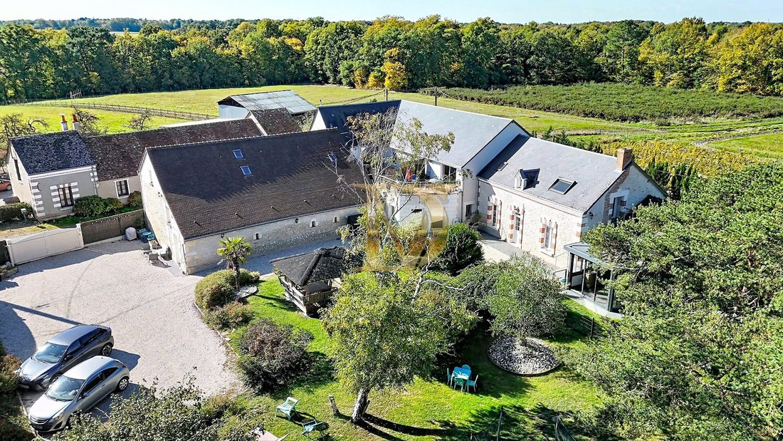 House in Saint-Georges-sur-Cher, Centre-Val de Loire, France 1 - 16847273