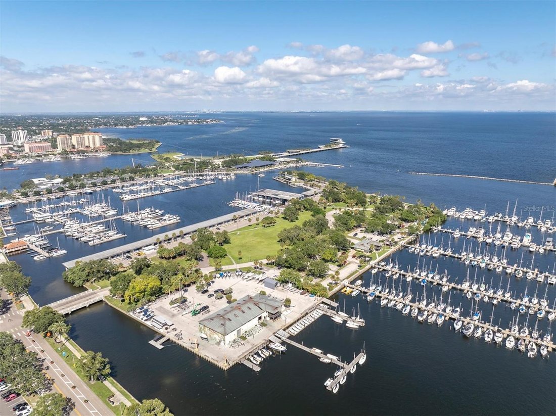 Condo in St. Petersburg, Florida, United States 5 - 18995512