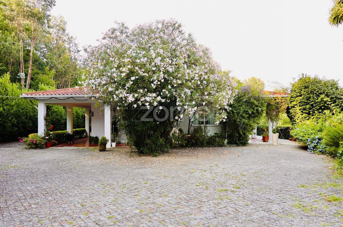 Finca in Tagilde e Vizela (Sao Paio), Braga, Portugal 2 - 18996836
