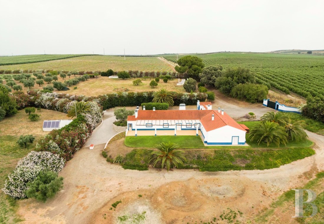 Land in Ferreira do Alentejo e Canhestros, Beja District, Portugal 2 - 18996646