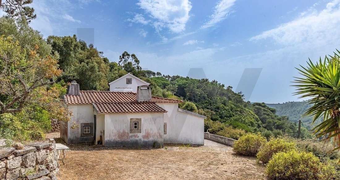 House in Santo Isidoro, Lisbon, Portugal 4 - 18993371