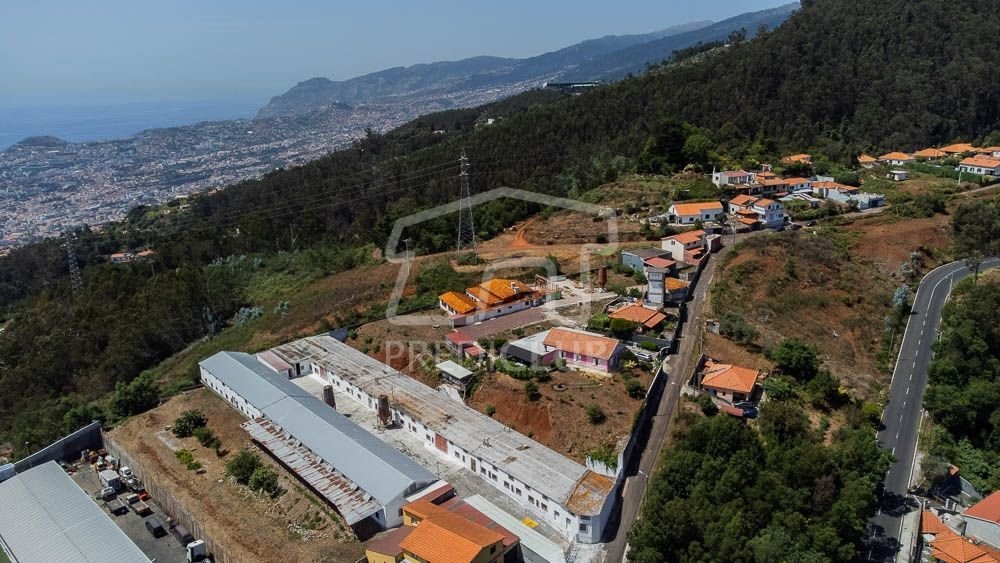 Land in Camacha, Madeira, Portugal 5 - 18996569
