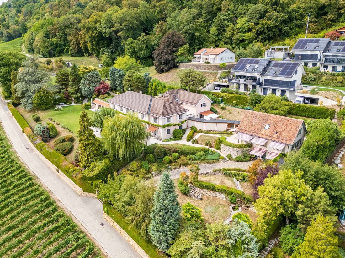 Estate in Essertines-sur-Rolle, Vaud, Switzerland 1 - 18992912
