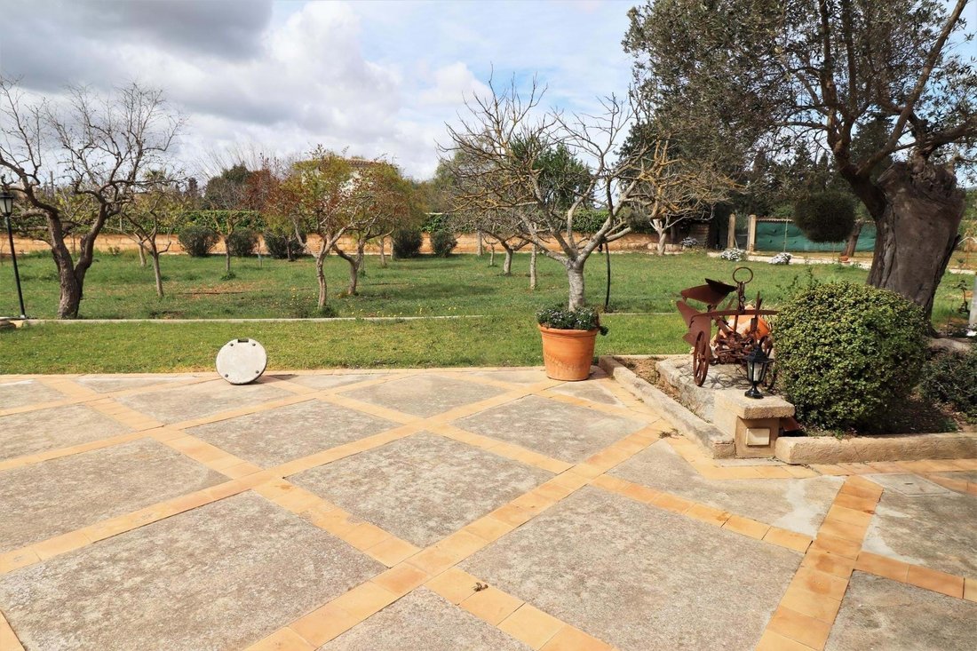 Farm Ranch in Palma, Balearic Islands, Spain 4 - 18996566