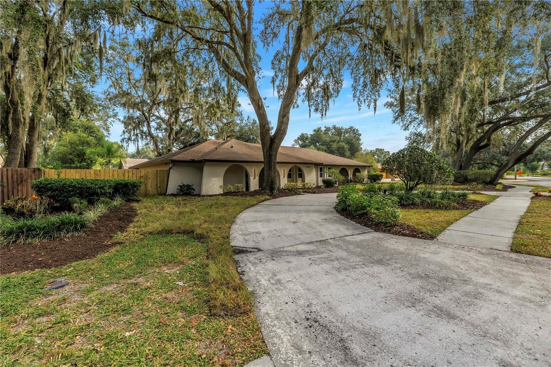 House in Tampa, Florida, United States 2 - 18995500