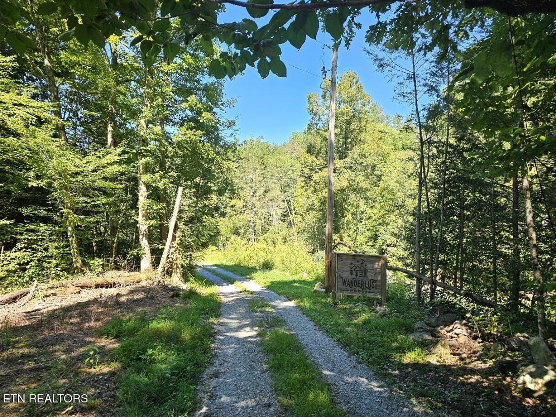 Land in Cosby, Tennessee, United States 2 - 18993442