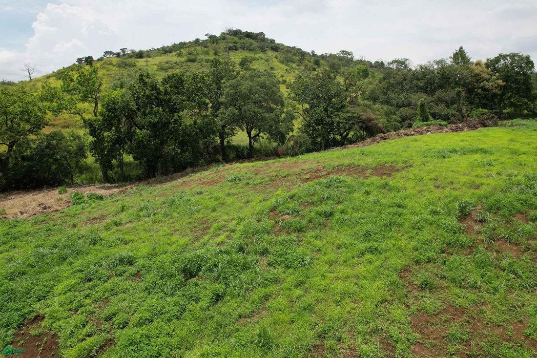 Land in Grecia, Guanacaste Province, Costa Rica 3 - 18995383