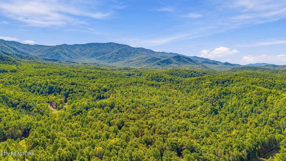 Land in Cosby, Tennessee, United States 5 - 18993442