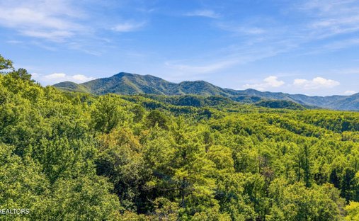 Land in Cosby, Tennessee, United States 1