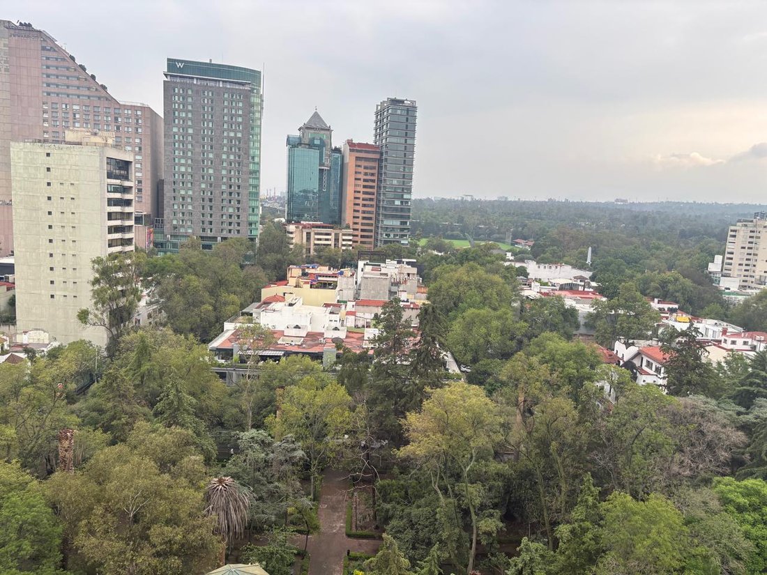 Apartment in Mexico City, Mexico City, Mexico 1 - 18993799