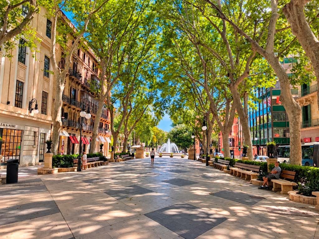 Apartment in Palma, Balearic Islands, Spain 1 - 18995520