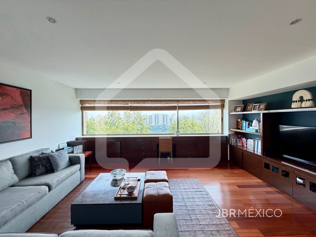 Apartment in Mexico City, Mexico 5 - 18994493