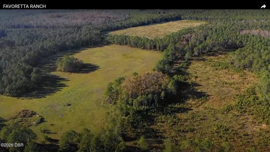 Land in Bunnell, Florida, United States 5 - 18997787