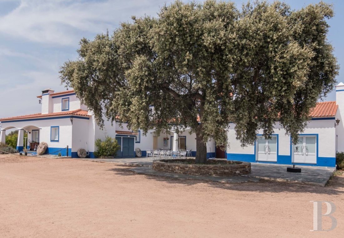 House in Terena (Sao Pedro), Évora District, Portugal 3 - 18996665