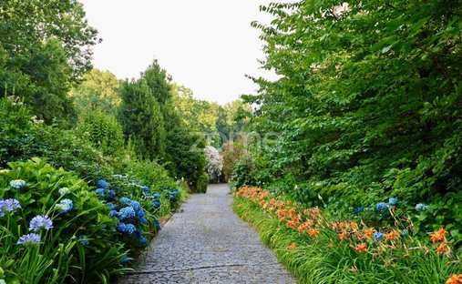 Finca a Tagilde e Vizela (Sao Paio), Braga, Portogallo 1