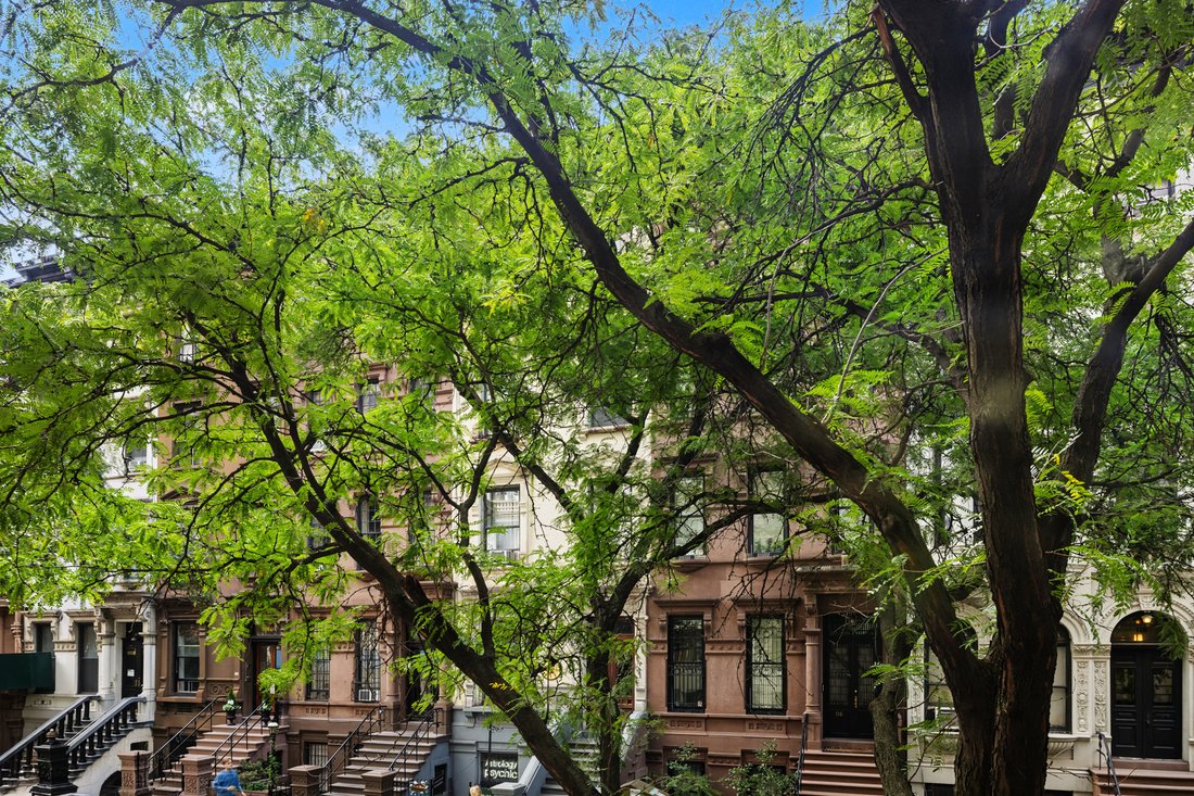 Co Op in New York, New York, United States 3 - 18996344