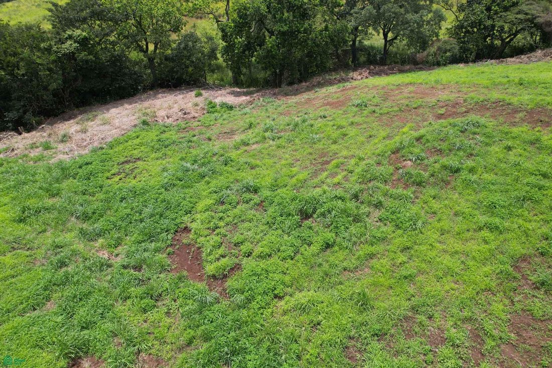 Land in Grecia, Guanacaste Province, Costa Rica 4 - 18995383