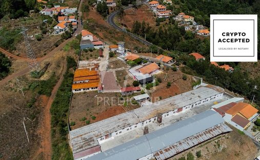 Terrain à Camacha, Madère, Portugal 1