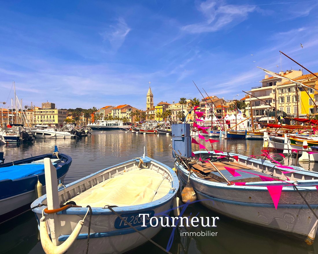 Apartment in Nord, Sanary-sur-Mer, France 1 - 18994060