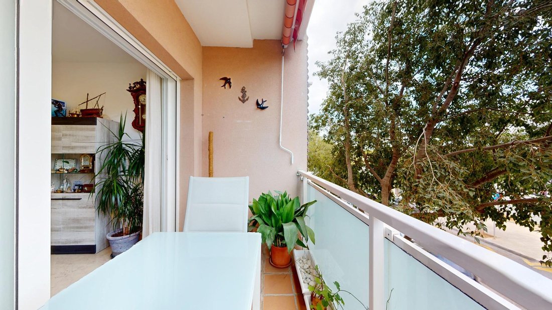 Apartment in Palma, Balearic Islands, Spain 3 - 18995637