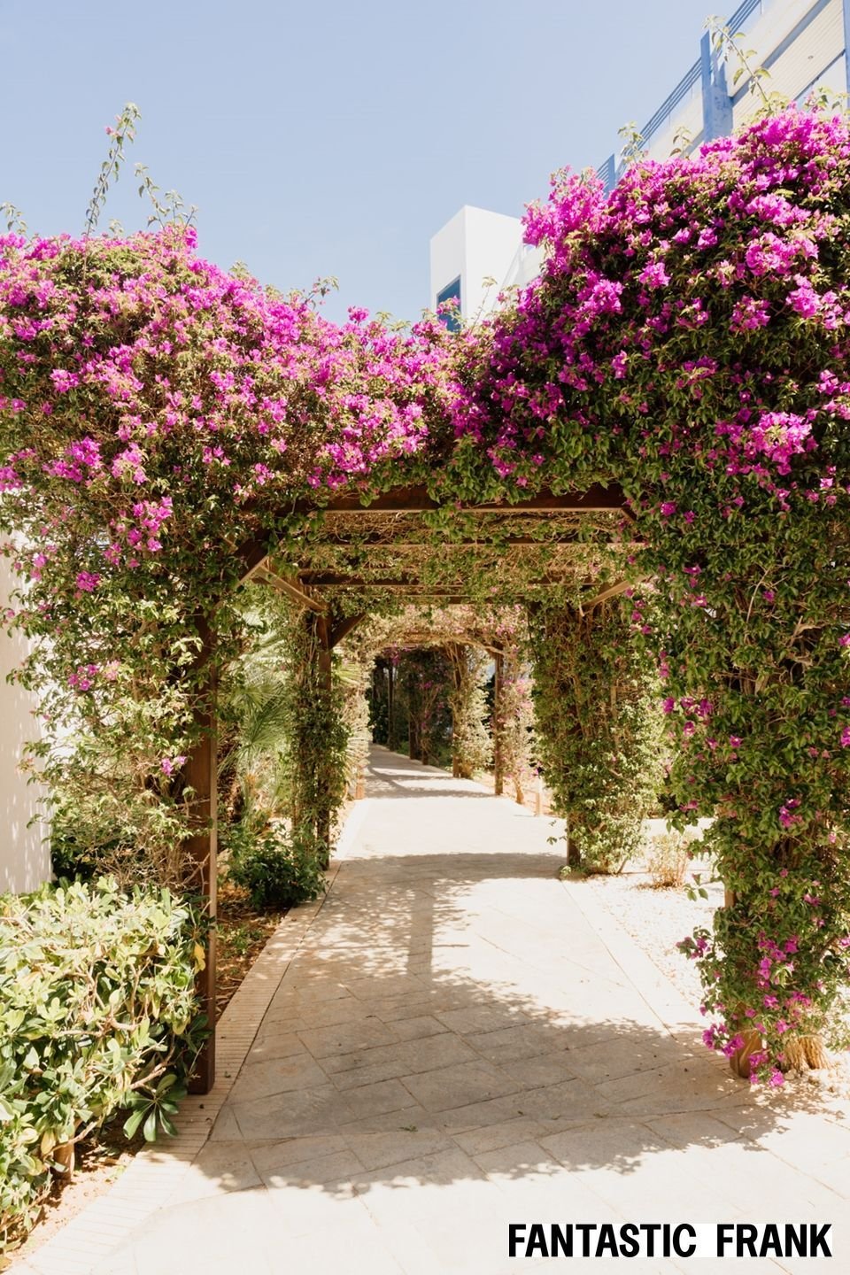 Apartment in Santa Eularia des Riu, Balearic Islands, Spain 2 - 18996890