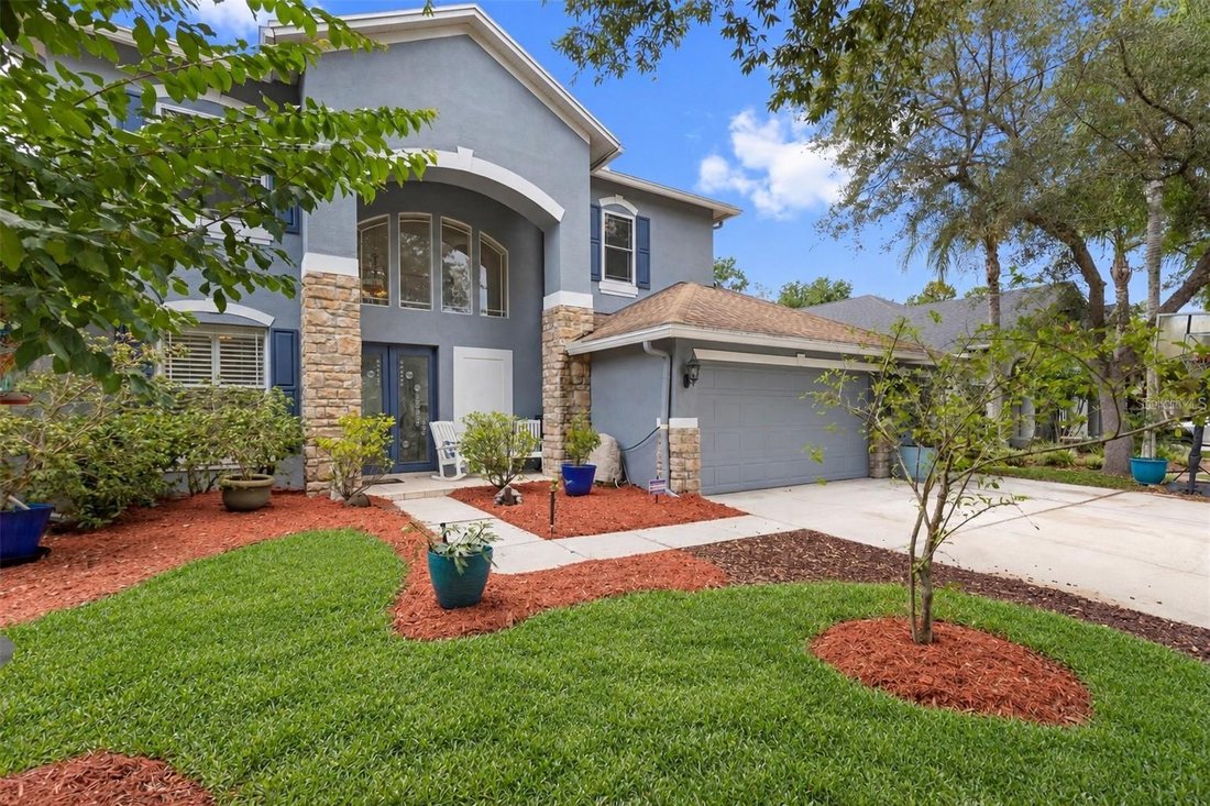 House in Tampa, Florida, United States 1 - 18233814