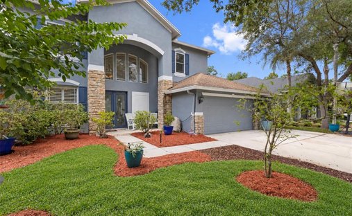 House in Tampa, Florida, United States 1
