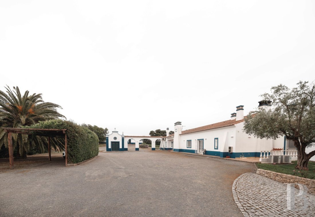 Land in Ferreira do Alentejo e Canhestros, Beja District, Portugal 3 - 18996646