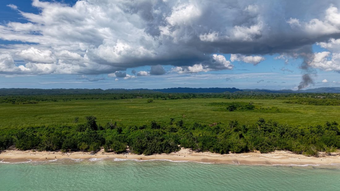 Land in Little London, Westmoreland Parish, Jamaica 2 - 18998108