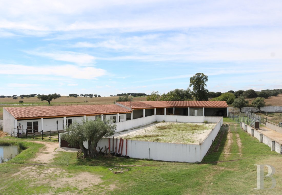 Land in Assuncao, Portalegre District, Portugal 5 - 18996653