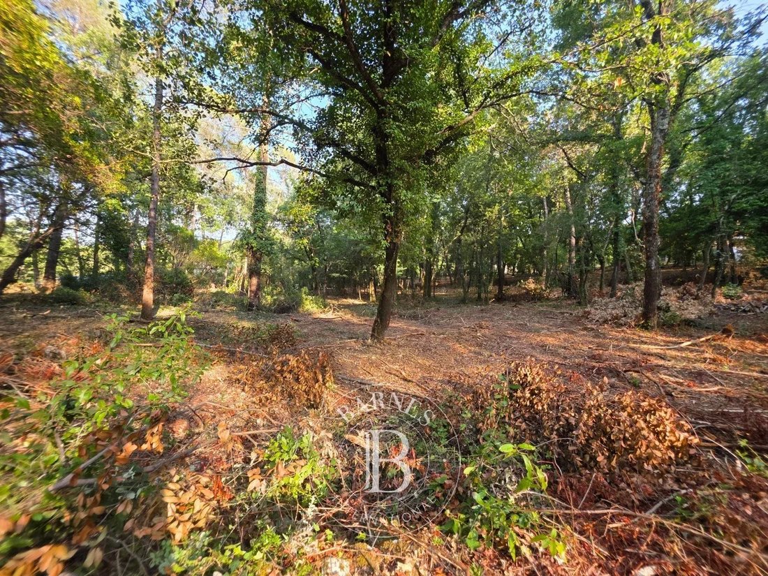 Terreno en Opio, Provenza-Alpes-Costa Azul, Francia 5 - 18960471