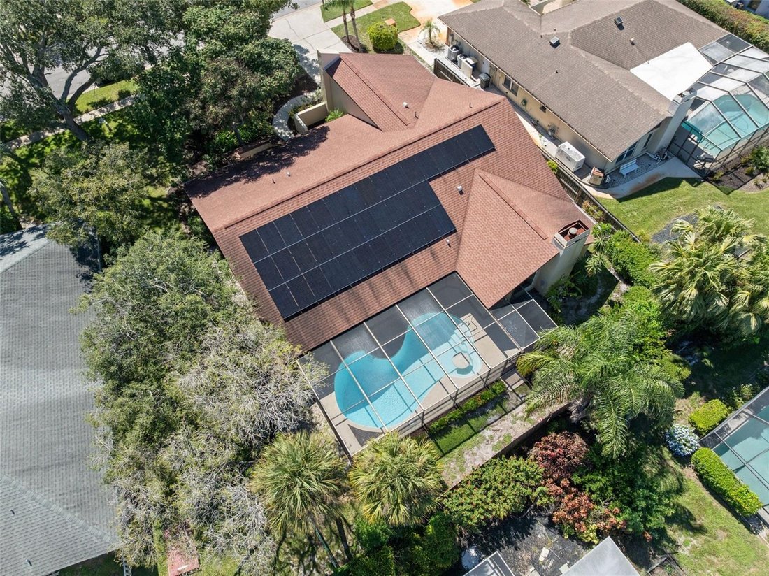 House in Clearwater, Florida, United States 3 - 18993191