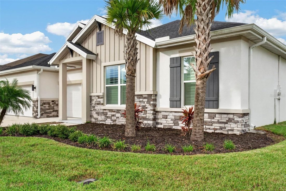 House in Land O' Lakes, Florida, United States 4 - 18993199