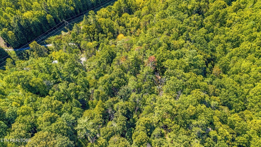 Land in Cosby, Tennessee, United States 4 - 18993442