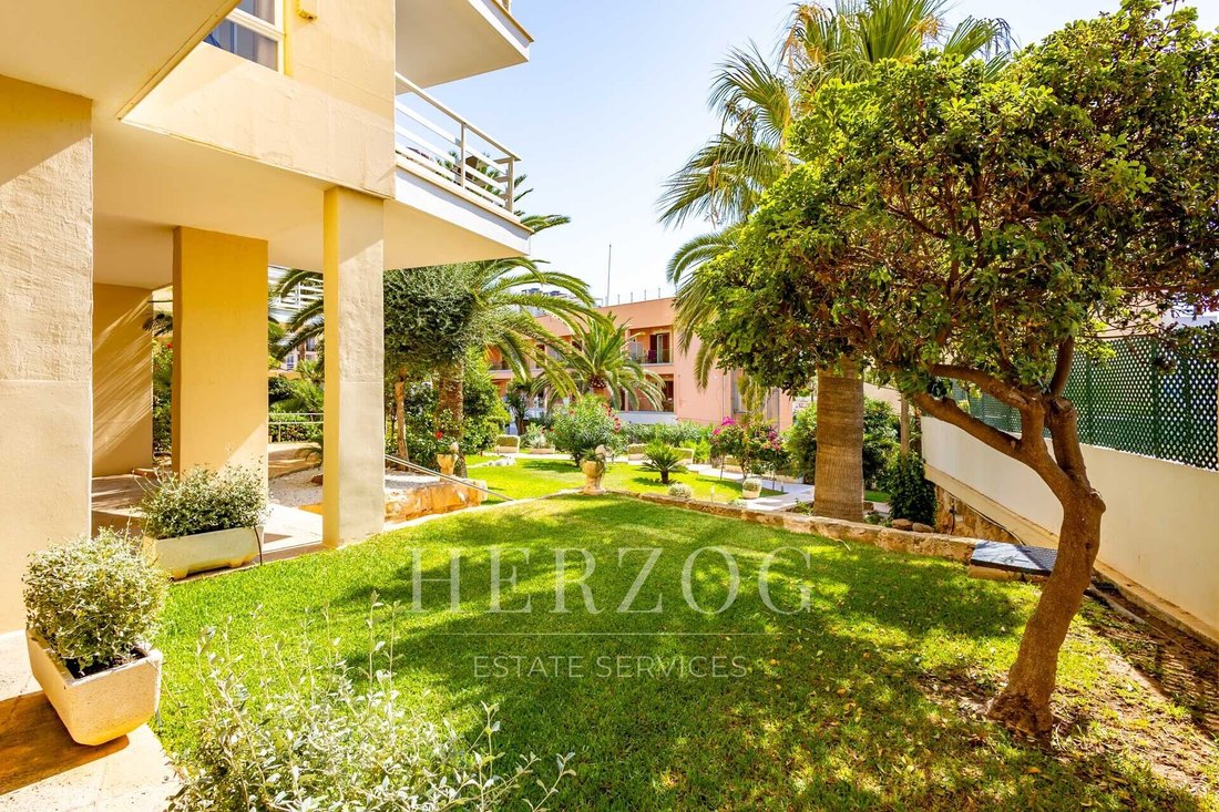Apartment in Cala Fornells, Calvia, Balearic Islands 4 - 18993369