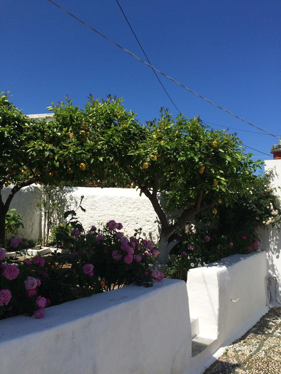 House in Spetses, Attica, Greece 2 - 18998304