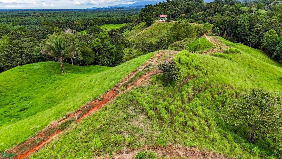 House in Venecia, Puntarenas Province, Costa Rica 1 - 18995384