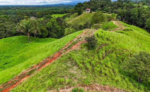House in Venecia, Puntarenas Province, Costa Rica 1