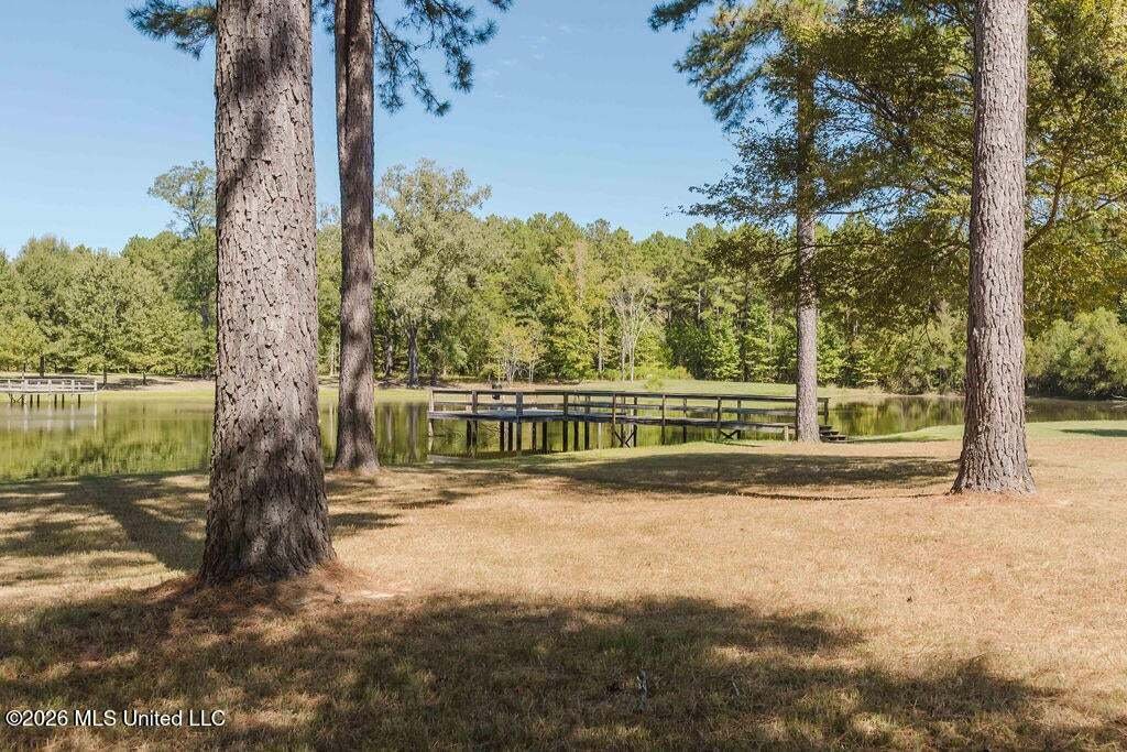 House in Flora, Mississippi, United States 5 - 18998219
