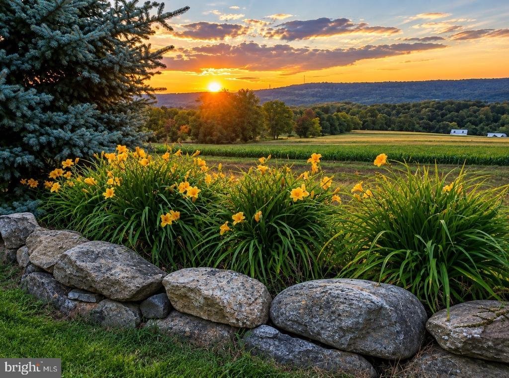Farm Ranch in Drums, Pennsylvania, United States 2 - 18998519