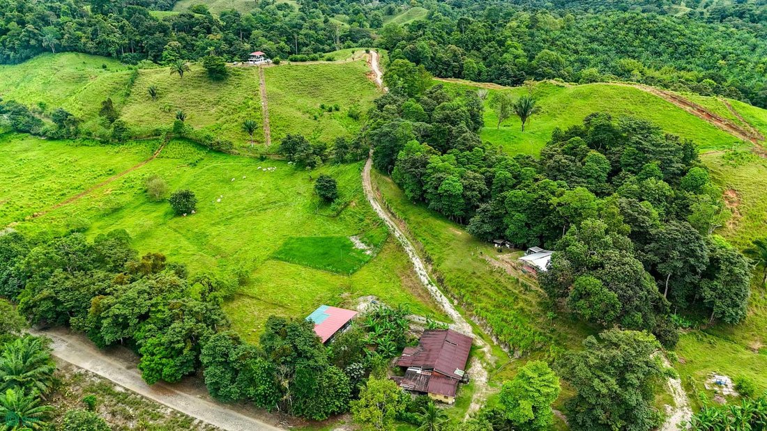 House in Venecia, Puntarenas Province, Costa Rica 3 - 18995384