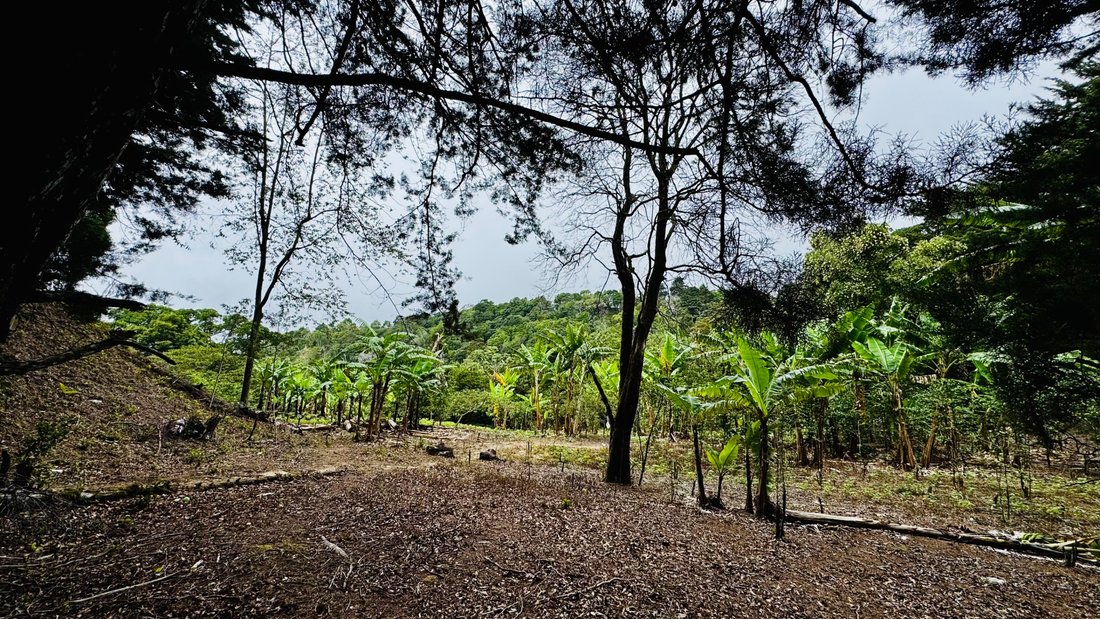Land in Palmira, Chiriquí Province, Panama 4 - 18998998