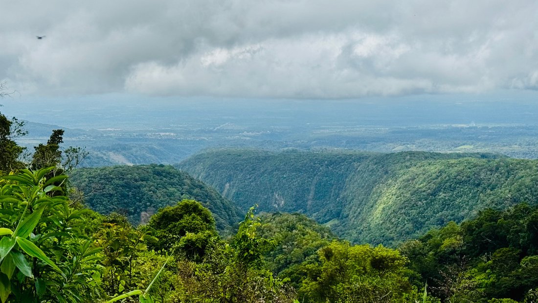 Land in Palmira, Chiriquí Province, Panama 1 - 18998998