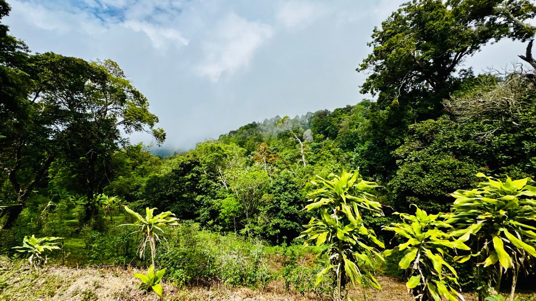 Land in Palmira, Chiriquí Province, Panama 2 - 18998998