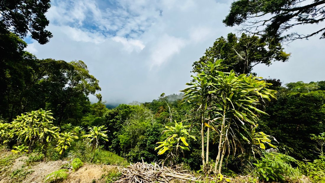 Land in Palmira, Chiriquí Province, Panama 3 - 18998998