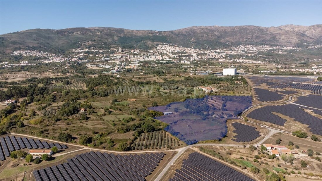 Farm Ranch in Boidobra, Castelo Branco District, Portugal 1 - 16868480