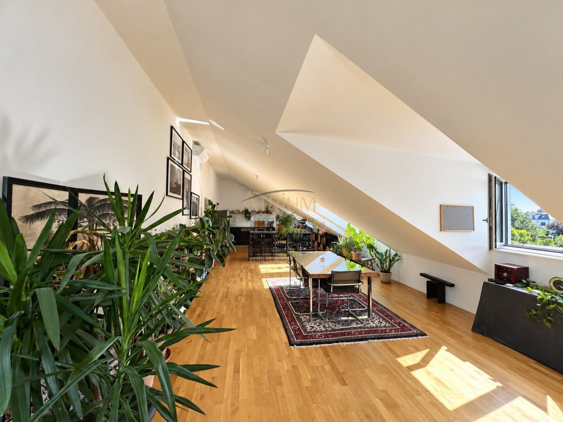 Penthouse in Baden bei Wien, Lower Austria, Austria 3 - 18999425