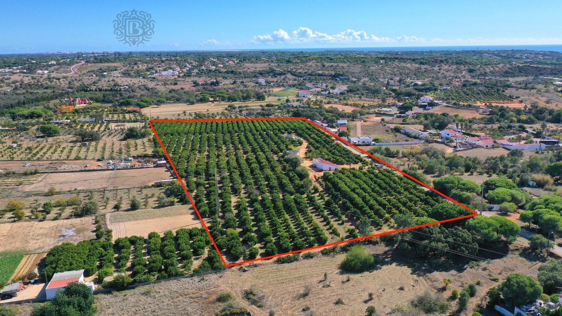 Land in Quarteira, Algarve, Portugal 3 - 18999275