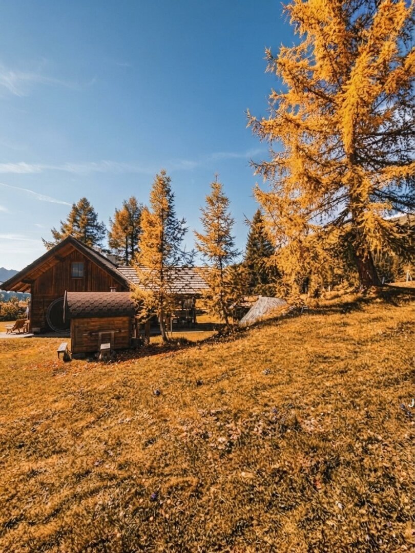 Chalet in Maltaberg, Carinthia, Austria 3 - 17763324