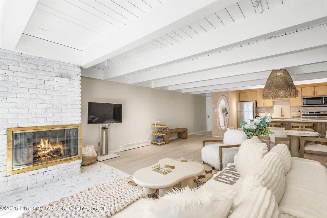 Condo in Aspen, Colorado, United States 3 - 18999545